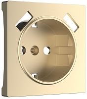 Лицевая панель Werkel для 1-м. розетки 220В+2хUSB шампань металик картинка